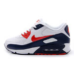 Nike Air Max 90 SI
